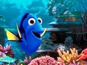 00dory