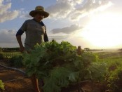 0000000000000000000000