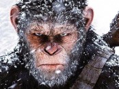 00000000000000000000000