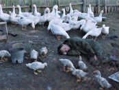 000o homem que surpreendeu a todos