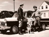 000o Vigilante-rodoviario