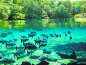 0000000000000000000000000000000000Bonito-Cultural-Loura