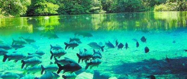 0000000000000000000000000000000000Bonito-Cultural-Loura